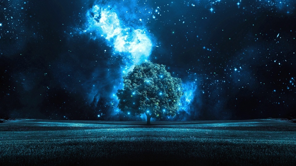 A tree at night