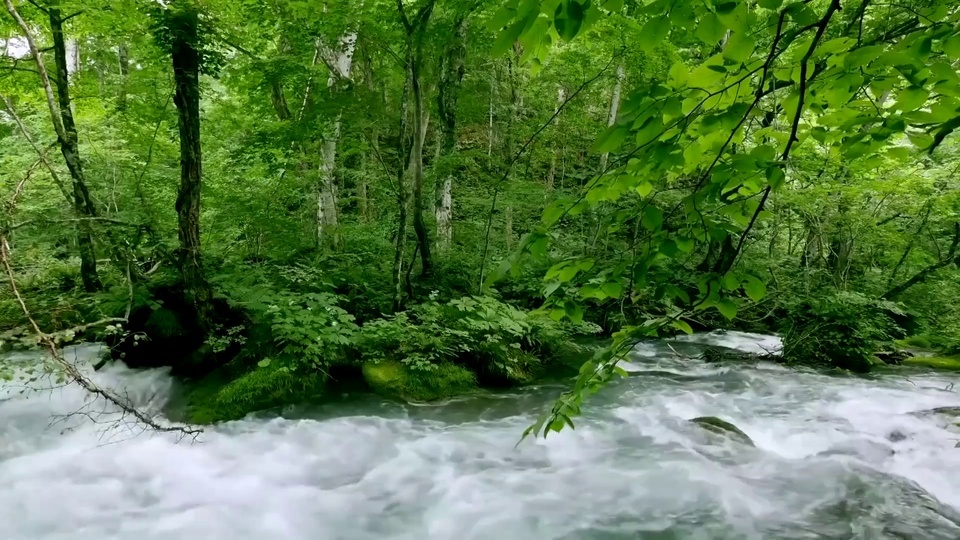 Arroyos de montaña