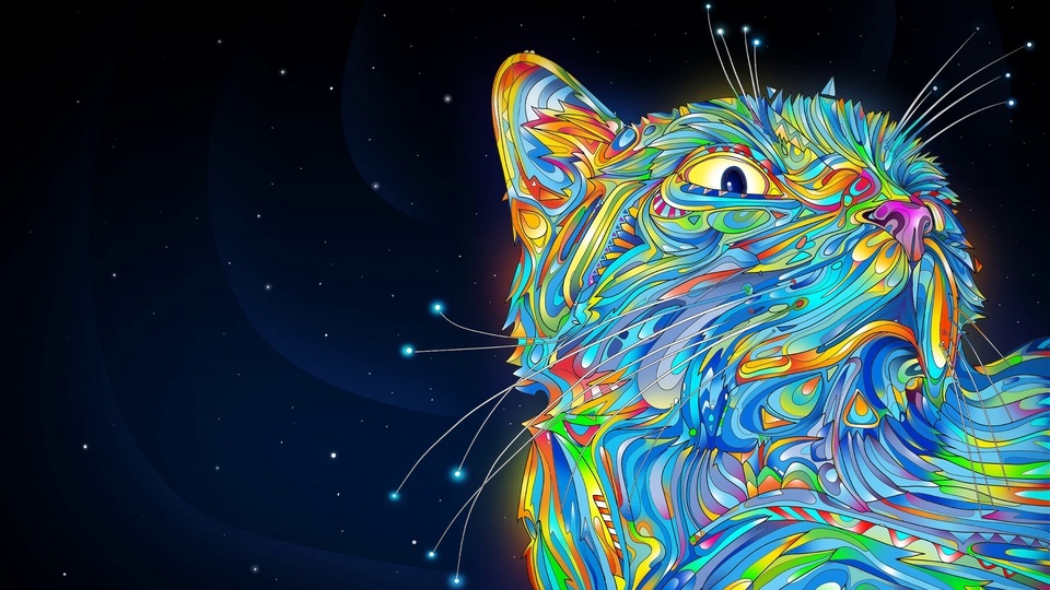 Colorful Cat