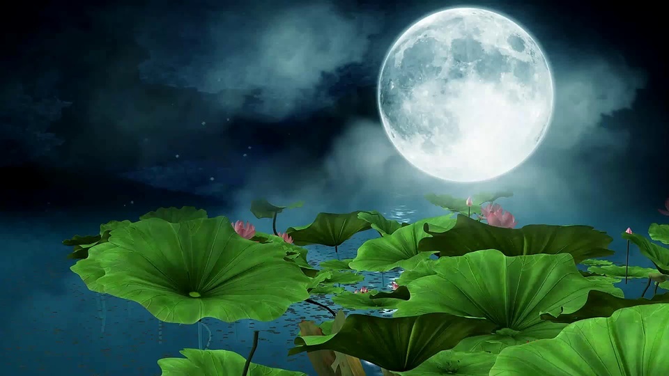 Lotus Pond Moonlight