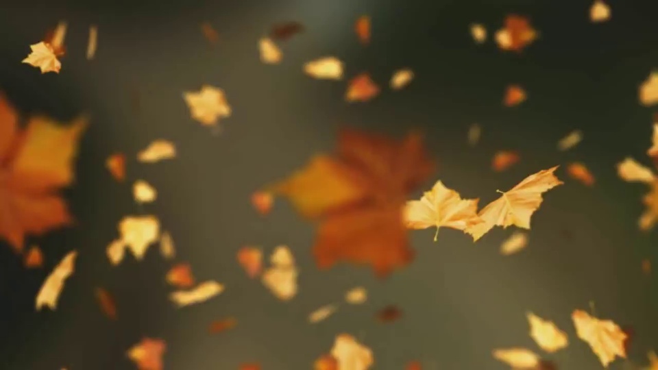 Falling leaves