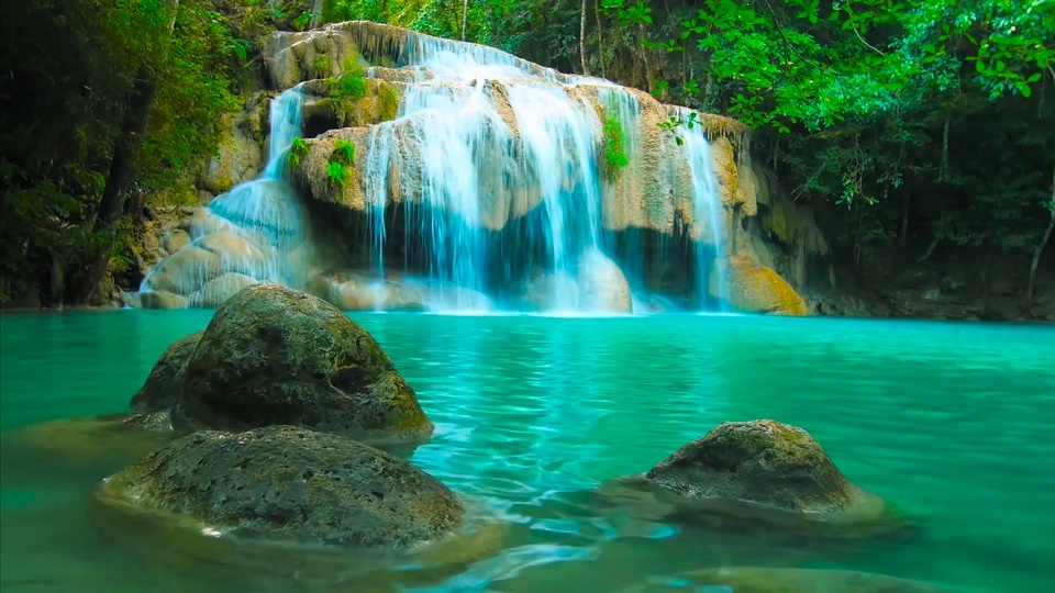 Forest Waterfall