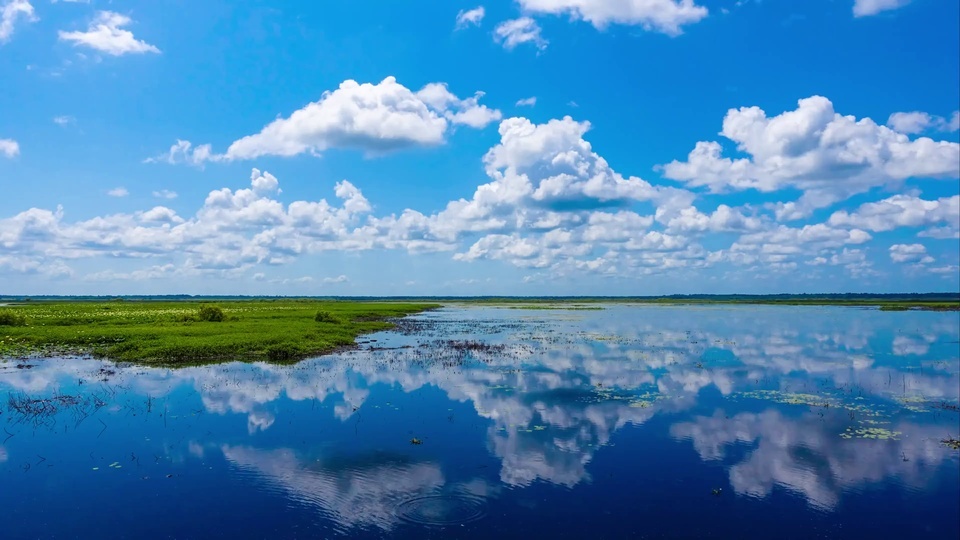 White clouds blossoming