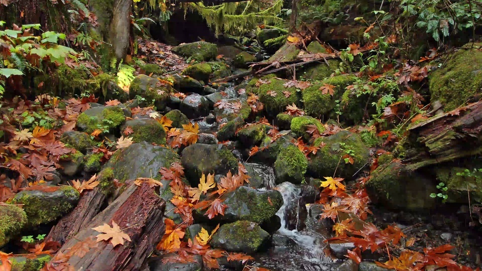 山间溪流