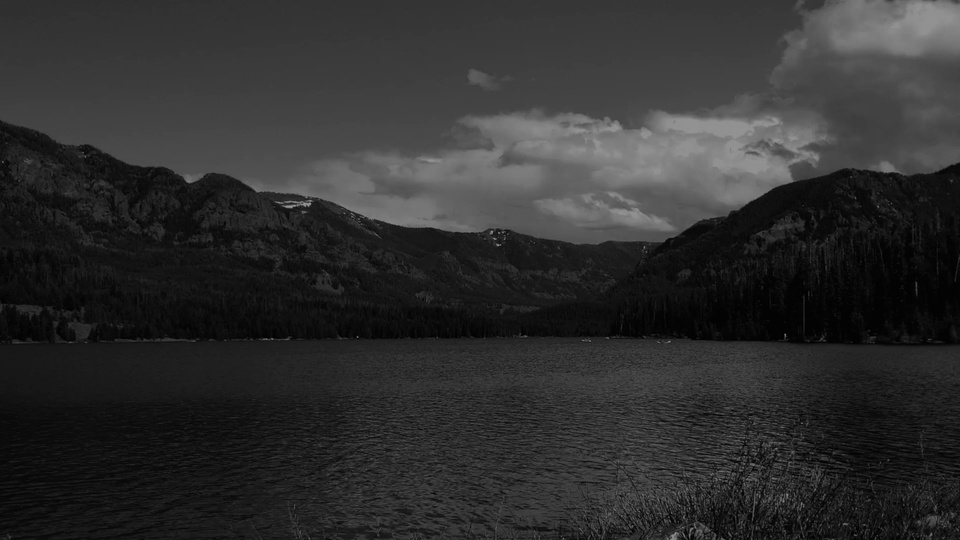 Black and white landscape video