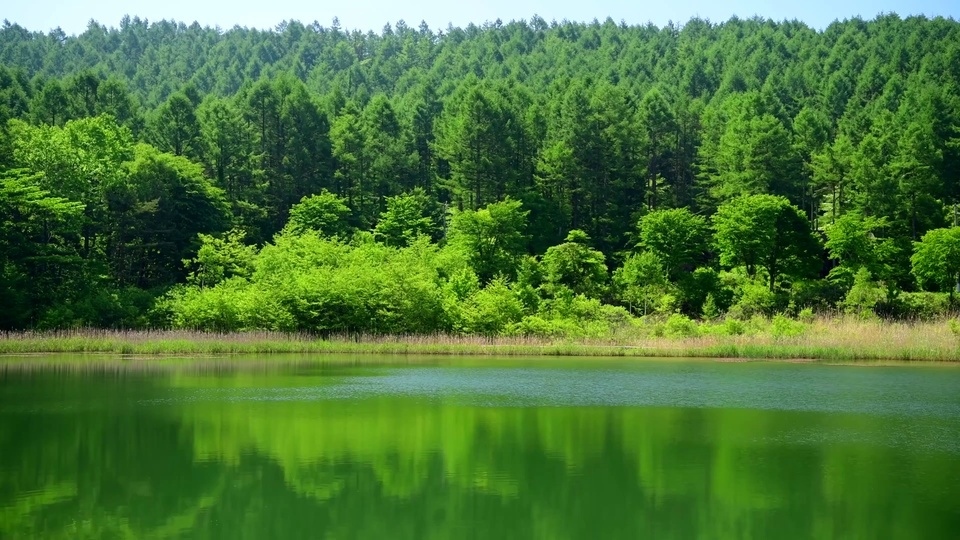 Águas verdes e montanhas verdes