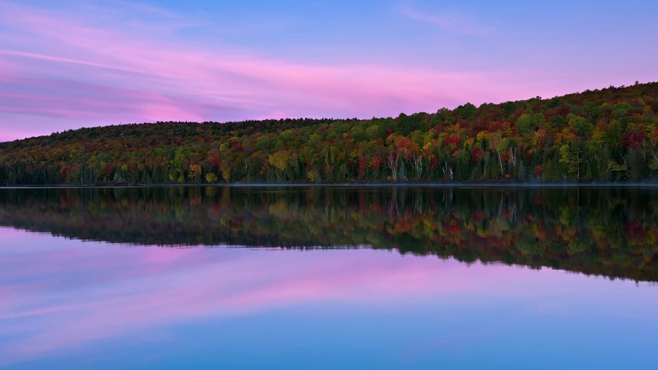 Bosques de colores junto al agua