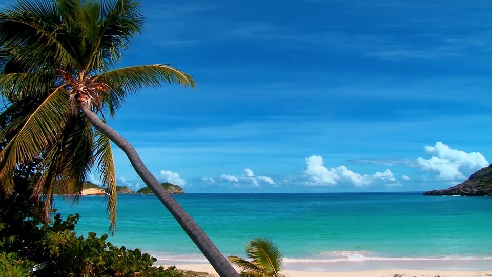 Playa de olas azules