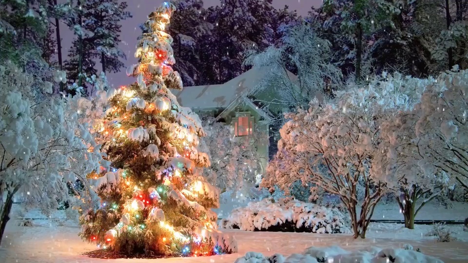 Christmas Snow Scenery