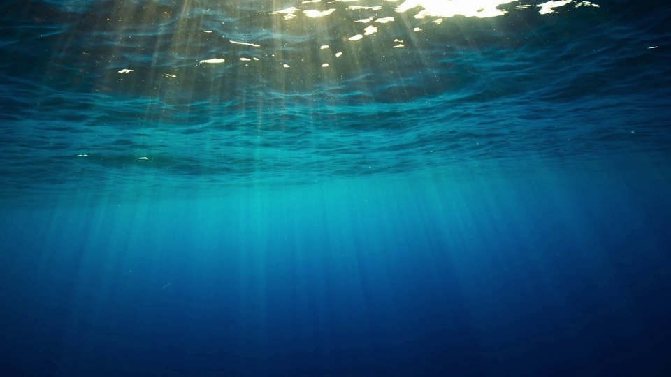 Beautiful sea light ripples