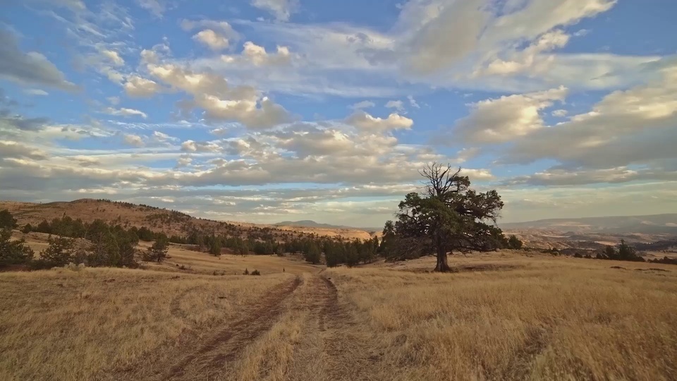 Desierto