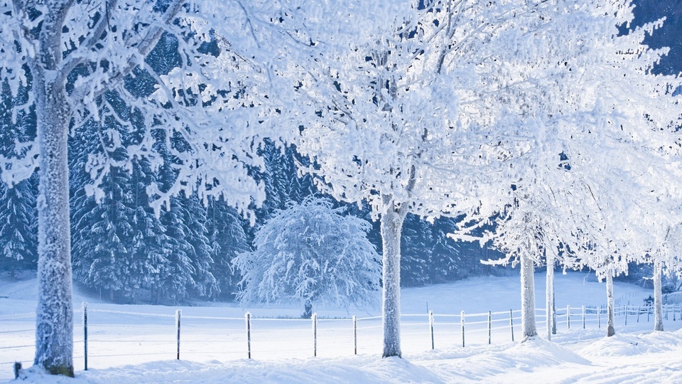 Está nevando.