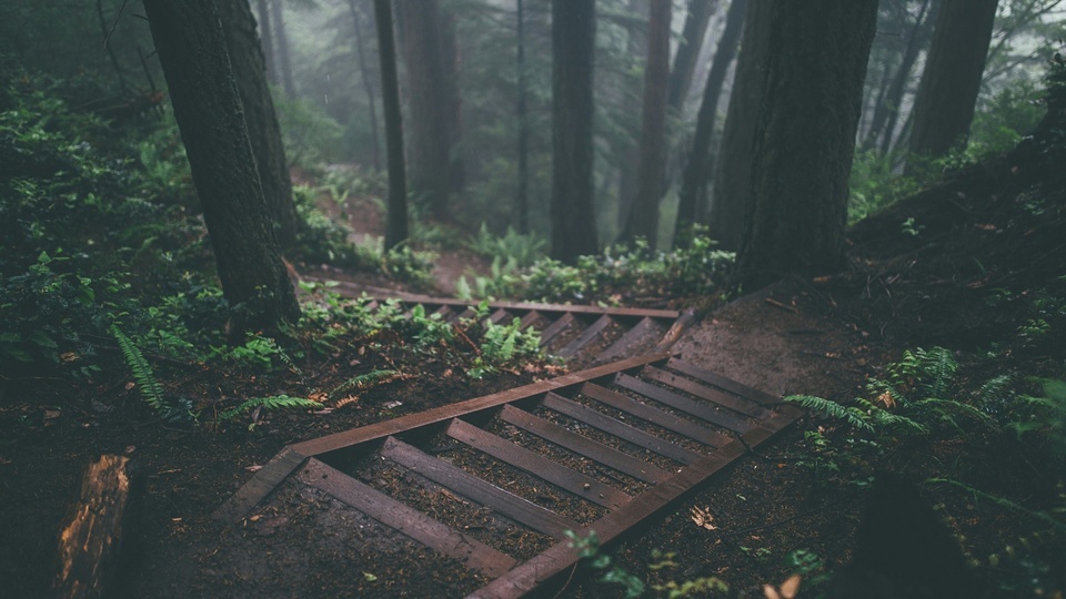 Le sentier forestier