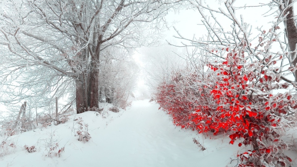 Winter snow accumulation