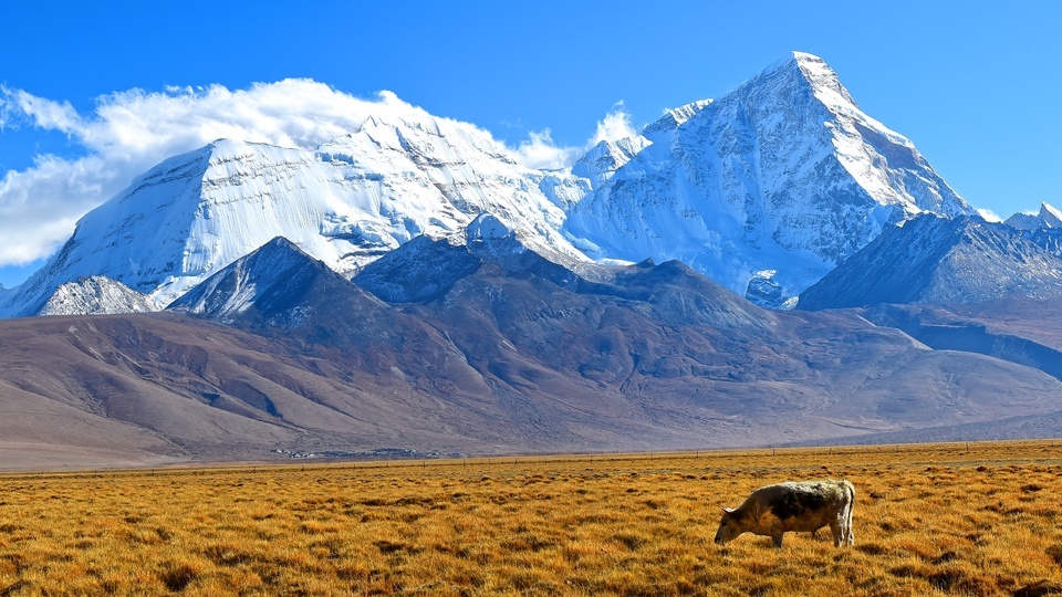 Xizang Scenery