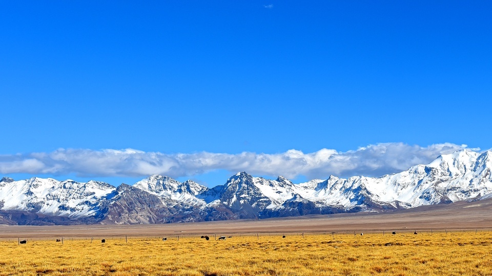 Xizang Scenery