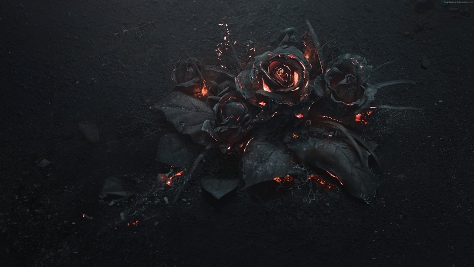 Burning roses