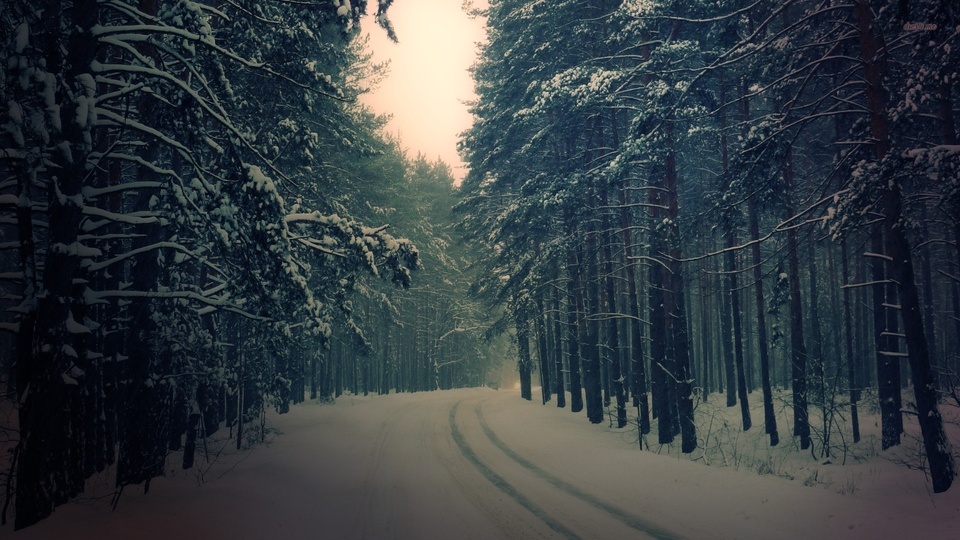 Bosque de invierno