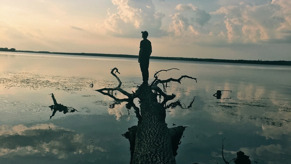 El niño en el árbol muerto