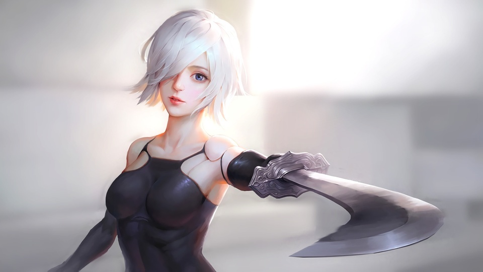 Nier A2