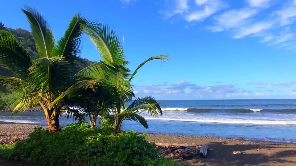 浪漫大海