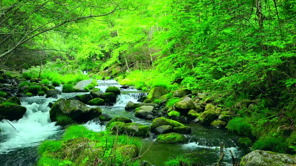 4k arroyo de protección ocular