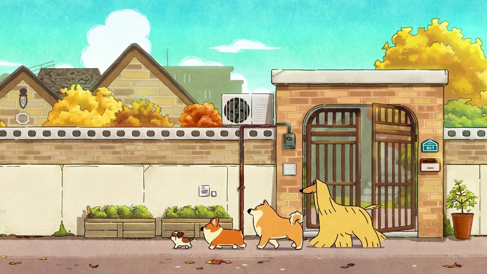 Animación Corgi