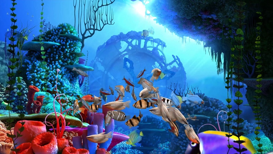 Acuario de coral 4K