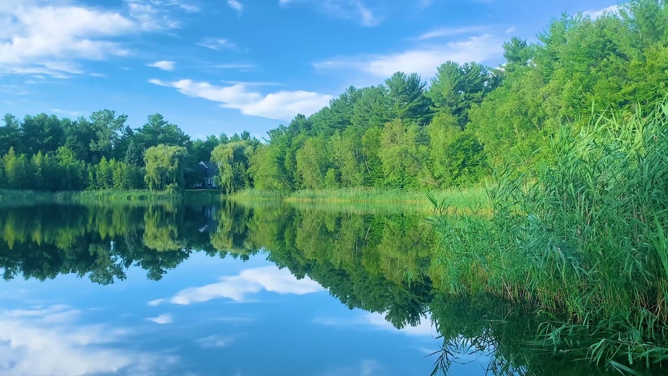 Lago reflejo