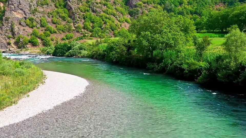 Riachos de montanha e florestas verdes