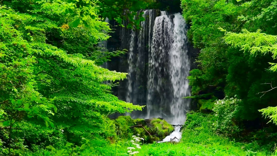 Una cascada fresca entre los bosques verdes