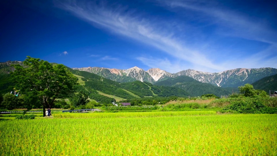 4K 初秋的白马村