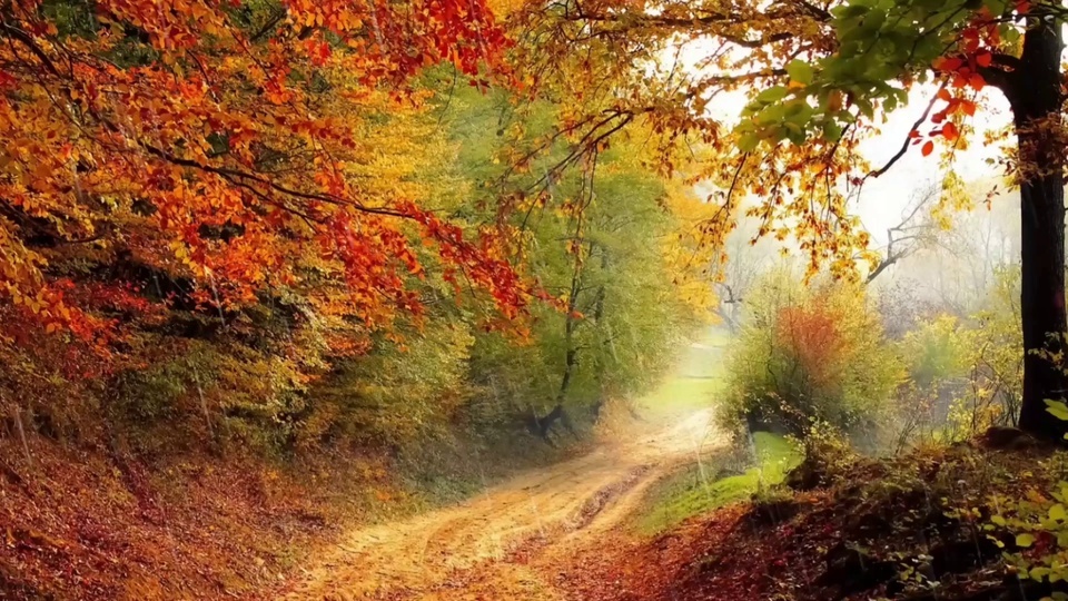 Continuous autumn rain