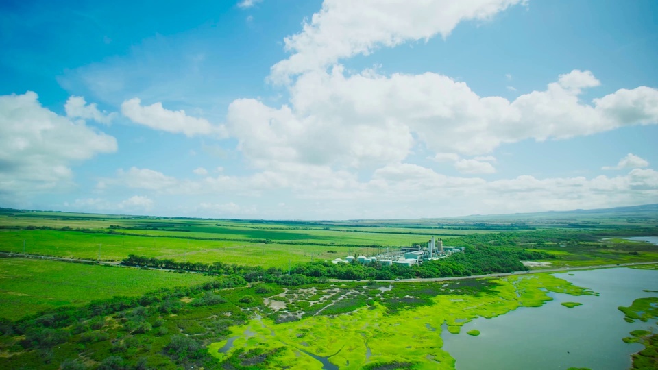 4K grassland green space aerial photography