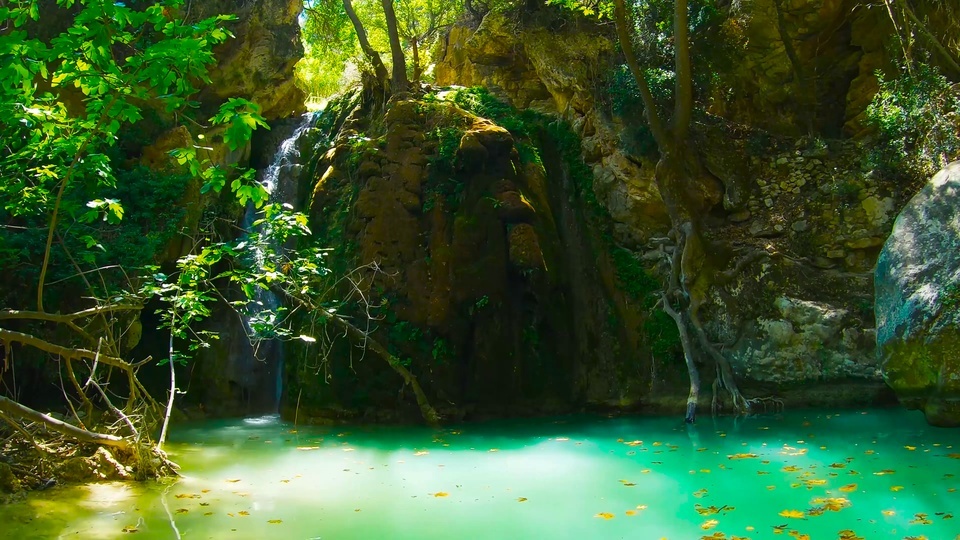 4K Green Forest and Clear Water Waterfall