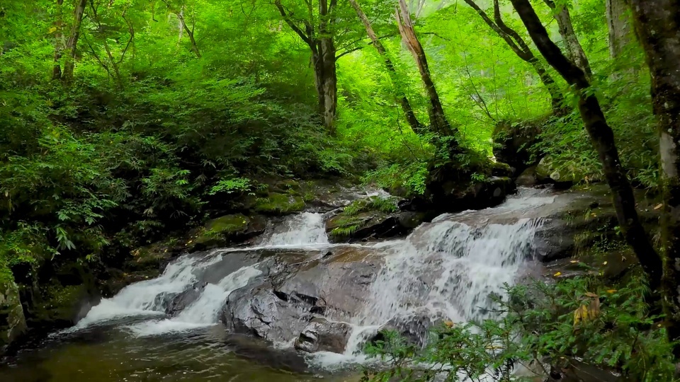 Cachoeira de proteção ocular Aomori