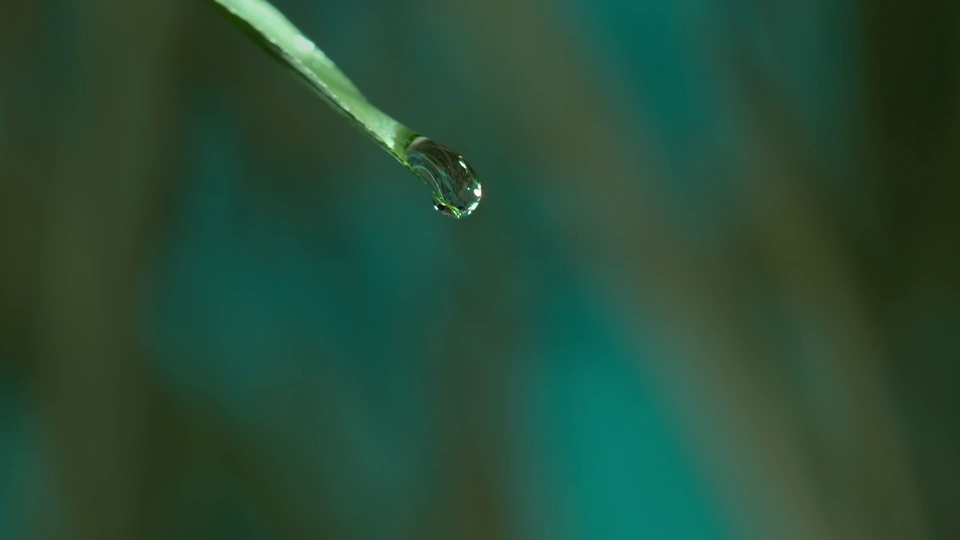 唯美滴水壁纸