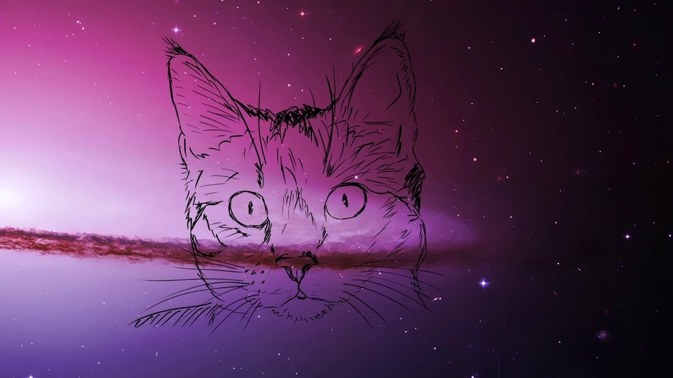 Starry Cat