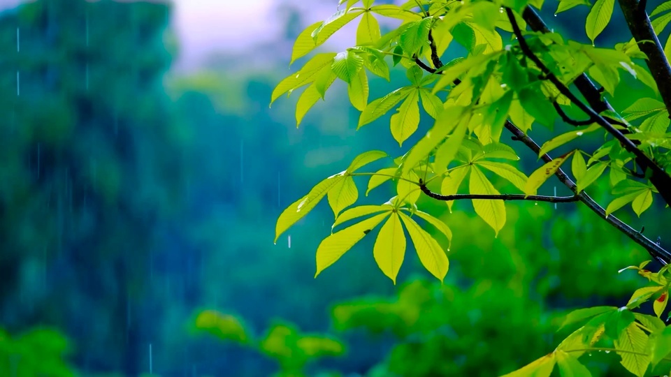 Lluvia de curación meditada