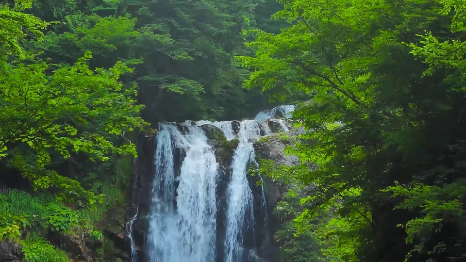 Cachoeira de proteção ocular verde