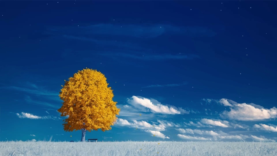 Céu azul e nuvens brancas