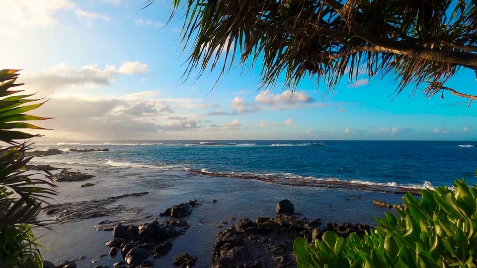 4K Beautiful Beach