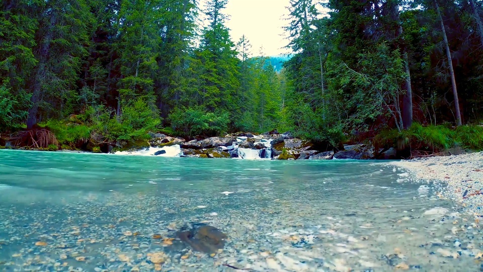 Flujo de agua de los arroyos de montaña de Green Forest