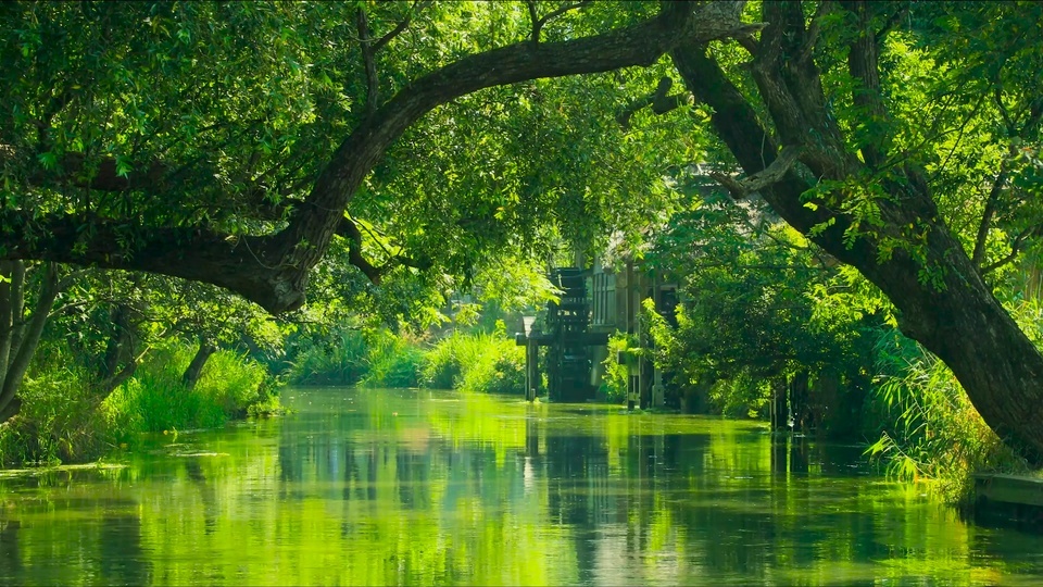 Green trees provide shade, and the water is serene