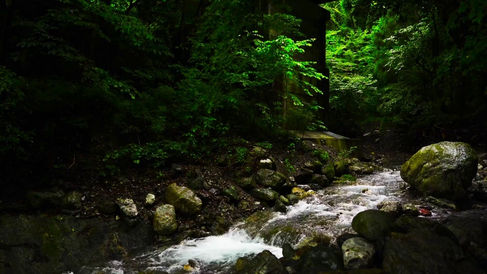 Arroyo de montaña 4K