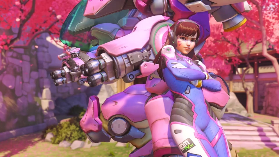 D.va