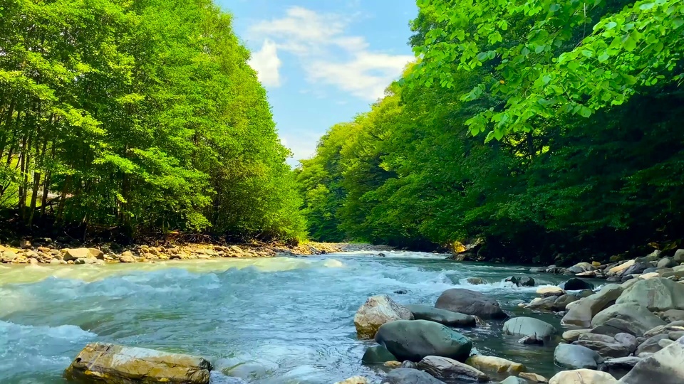 Florestas verdes, córregos de montanha e rios