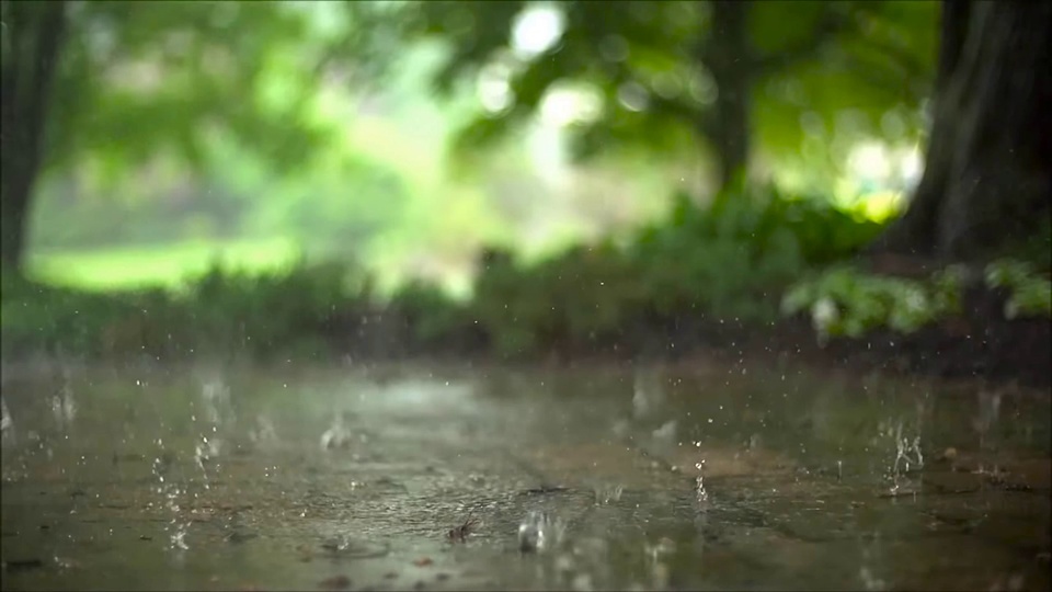 雨