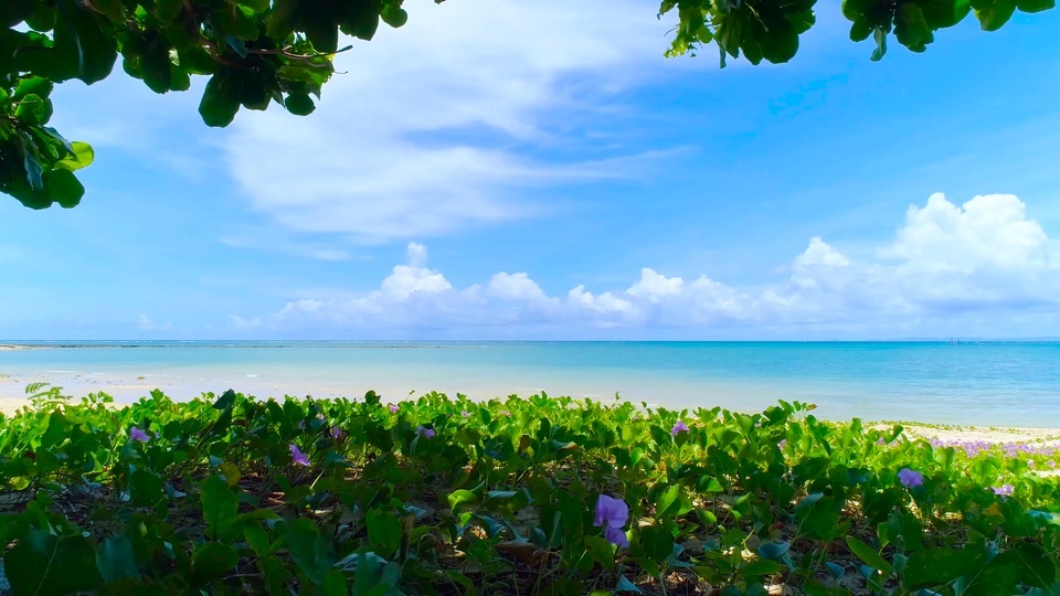 Cómodas flores y plantas junto al mar