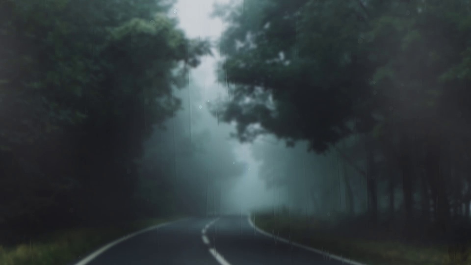 Pantalla de lluvia de carreteras forestales